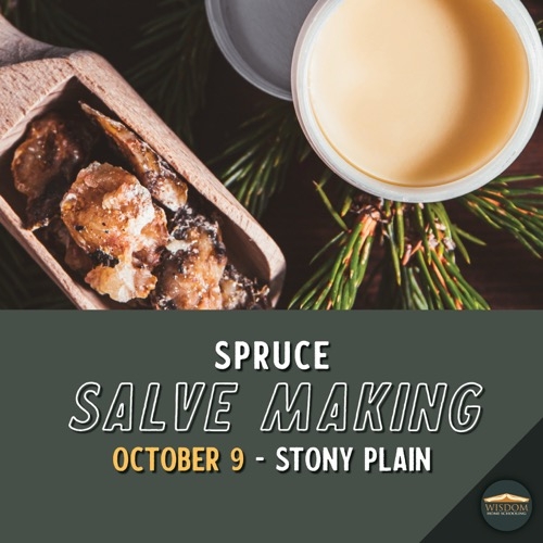 Spruce Salve Making - Stony Plain <span>E1165</span>